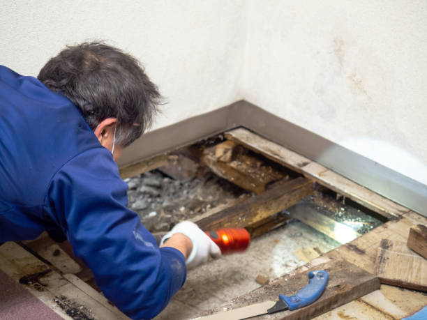 Water Damage Restoration in Fort Washington, MD