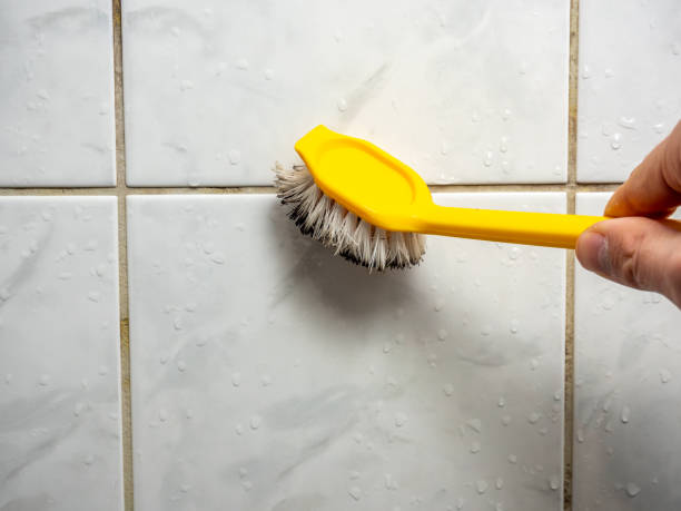 Best Mold Testing  in Fort Washington, MD