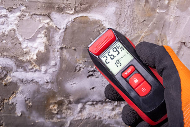 Best Professional Mold Removal  in Fort Washington, MD
