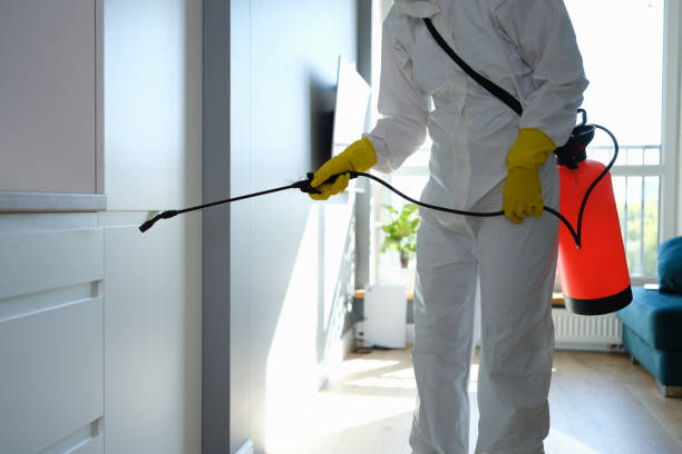 Mold Removal Process in Fort Washington, MD