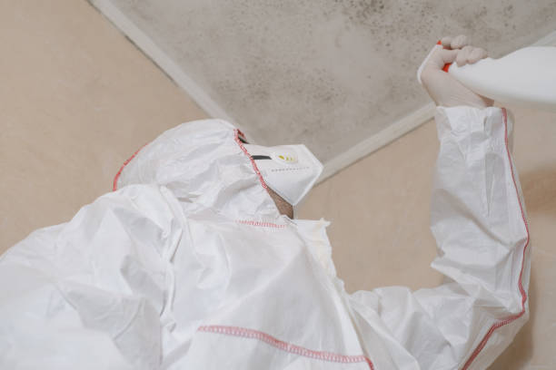 Best Mold Removal Process  in Fort Washington, MD