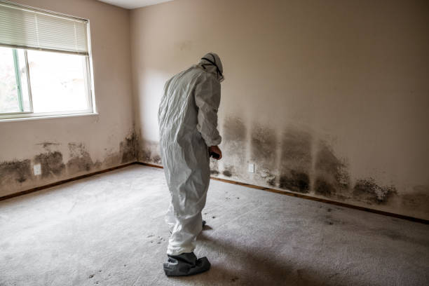 Best Residential Mold Removal  in Fort Washington, MD